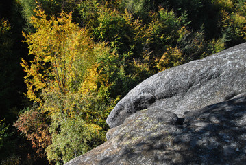 Autumn trees viewed from a rock formation