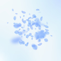 Dark blue flower petals falling down. Mind-blowing