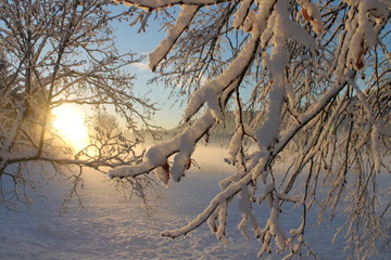 Fototapeta na wymiar Sunset in Winter