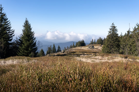 Hiking in the upper bavarian forest in the near of the Osser, germany.