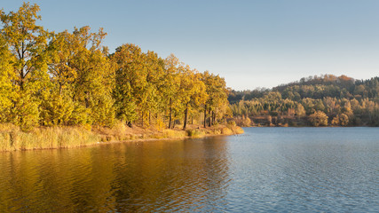 Autumn tree line on a lakeshore