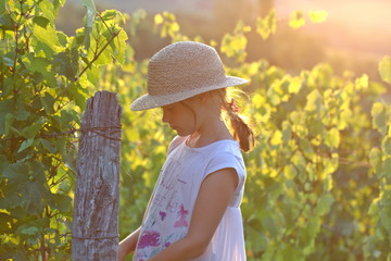 Little girl in a hat stands against a background of vineyards