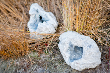2 celestine geode crystals laying in the grass in autumn