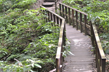 Doi Inthanon National Park, Thailand