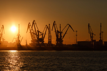 Fototapeta na wymiar Many big cranes silhouette in the port at golden light of sunrise reflected in water. Berdiansk, Ukraine