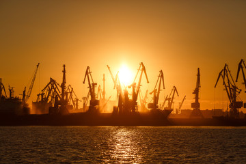 Fototapeta premium Many big cranes silhouette in the port at golden light of sunrise reflected in water. Berdiansk, Ukraine