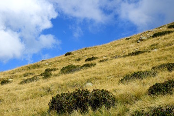 Obraz premium Landschaftsbild in den Südtiroler Bergen