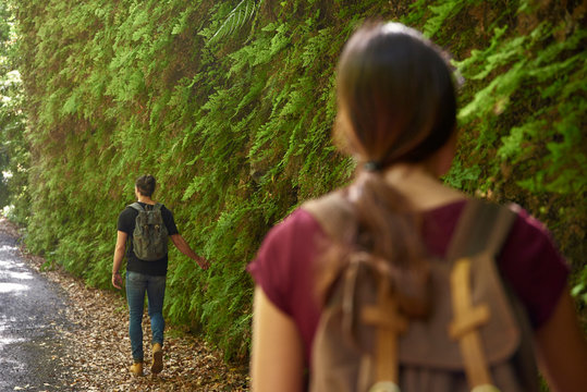 Spain, Canary Islands, La Palma, couple walking past lush green ferns in a forest