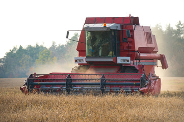 Obraz premium A combine creates a swirling haze of dust soybean chaff behind i