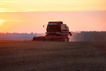 Combine in the field at summer sunset