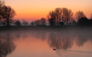 Pre Dawn Mist, Ellerton Park, Yorkshire, England