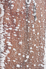 Close-up of textured wooden plank covered with frost and ice. Backgrounds and texture concept.