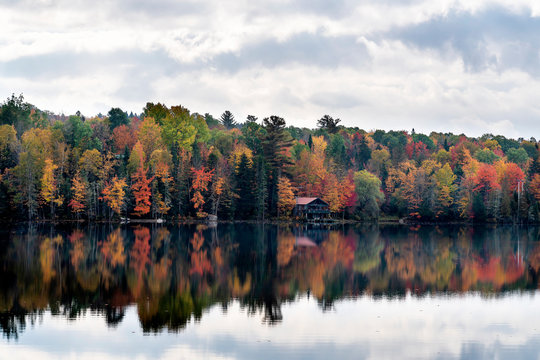 Colorful Lakeside in New York State