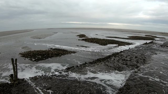 Wattenmeer, Buhne, Gezeiten
