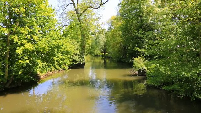 Beautiful green vegetation in a spring on the River Eure in Central France.