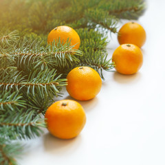 Christmas New Year composition with tangerines and green fir tree branches on an isolated white background. Holiday decoration.