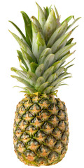 Ripe pineapple isolated