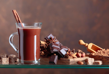 Fototapeta na wymiar Cocoa with cinnamon, chocolate pieces and various spices.