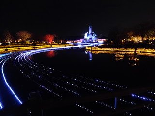 Illuminations reflecting in the marsh in Nagashima town