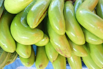 Fresh eggplant the market