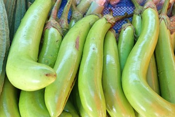 Fresh eggplant the market