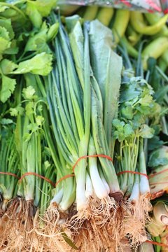Spring onions and coriander at market