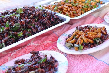 Fried insect at street food