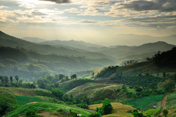 Natural landscape view with mists sea at sunrise. Mists in the cove. Mountain of fog, sun and win.