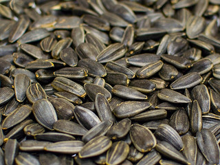 Roasted sunflower seeds closeup. concept: design, background