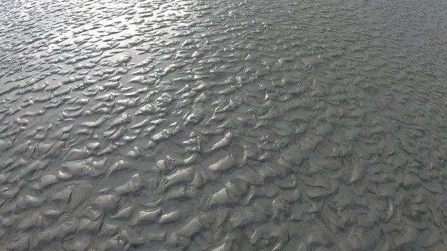 Wattenmeer, Rippelmarken, Schwenk