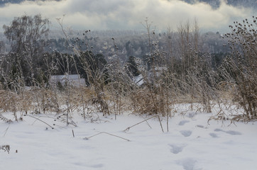 winter landscape yellow grass covered with frost and snow