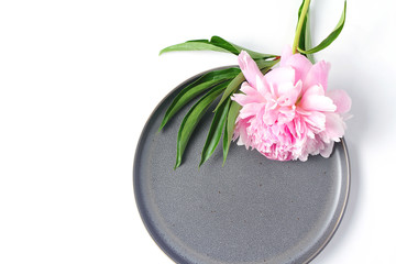 Minimalistic composition on a white background. fresh peony flower and gray dish on white background. top view, creative layout