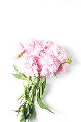 bouquet of fresh peonies on a white background in the center of the frame. flat lay, vertical frame