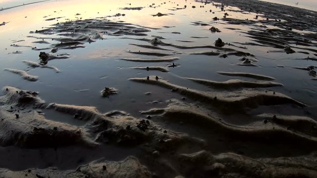 Wattenmeer, Rippelmarken, Sonnenuntergang