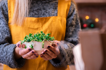 Girl with blond hair in a yellow apron in a loft kitchen, decorated with garlands, holds a bowl with microgreen/sprouts. Wooden plate with vegetables: broccoli, onions, cucumbers, microgreens etc