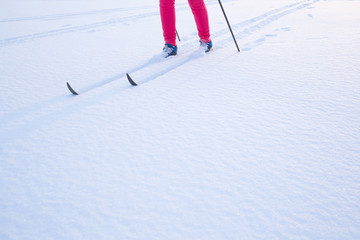 Skier in fresh snow in winter day. Woman's legs in pink tracksuit. Classic cross country skiing. Active lifestyle. Enjoying sport. Side view. Copy space. Empty place for text on snow surface.