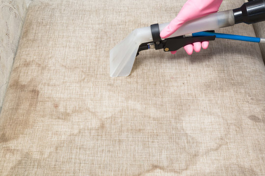 Dry cleaner's employee hand cleaning dirty sofa with professionally extraction method. Textile upholstered furniture. Early spring regular cleanup. Commercial cleaning company. Service concept.
