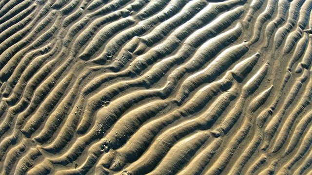 Rippelmarken, Wattenmeer, Rotation