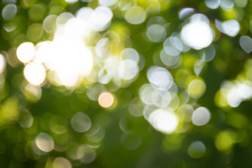 Obraz premium Abstract green bokeh blur nature background. Summer time.
