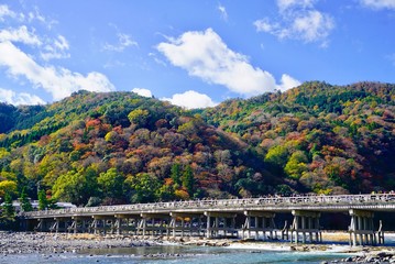 Fototapeta na wymiar Autumn Leaves in Arashiyama, Kyoto