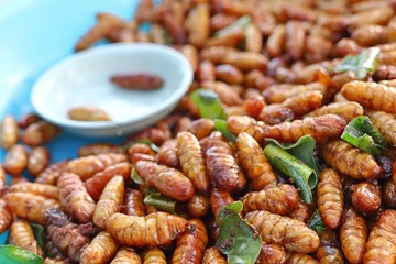 Fried insect at street food
