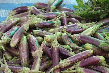 eggplant at street food