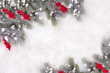 Border from red berries and branches fur tree on white fur  background.