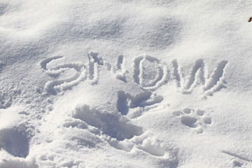 Snow. Hand drawn &ldquo;snow&rdquo; in the fresh snow. Hand writing sigh snow in the snow. Winter concept background texture. Text snow with copy space.