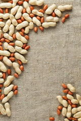 Roasted peanuts in a shell and peeled on a brown fabric background.