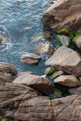 Single white seagull on the rocks