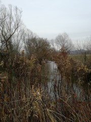 Fluss-Landschaft
