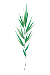 branch with leafs isolated icon