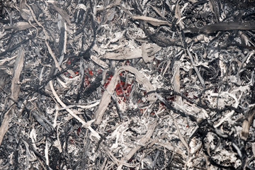 Charred wood burning down in the fire glow, close-up