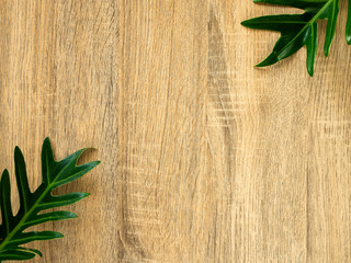 Green tropic leaves frame with copy space on wood